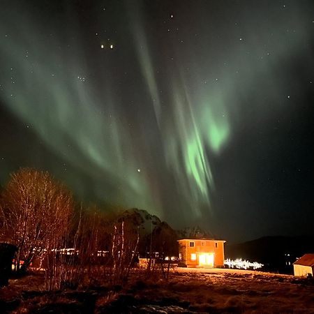 Pederstua, A Classic Fisherman'S Farm House In The Middle Of Lofoten Storeidet Exterior foto
