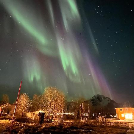 Pederstua, A Classic Fisherman'S Farm House In The Middle Of Lofoten Storeidet Exterior foto
