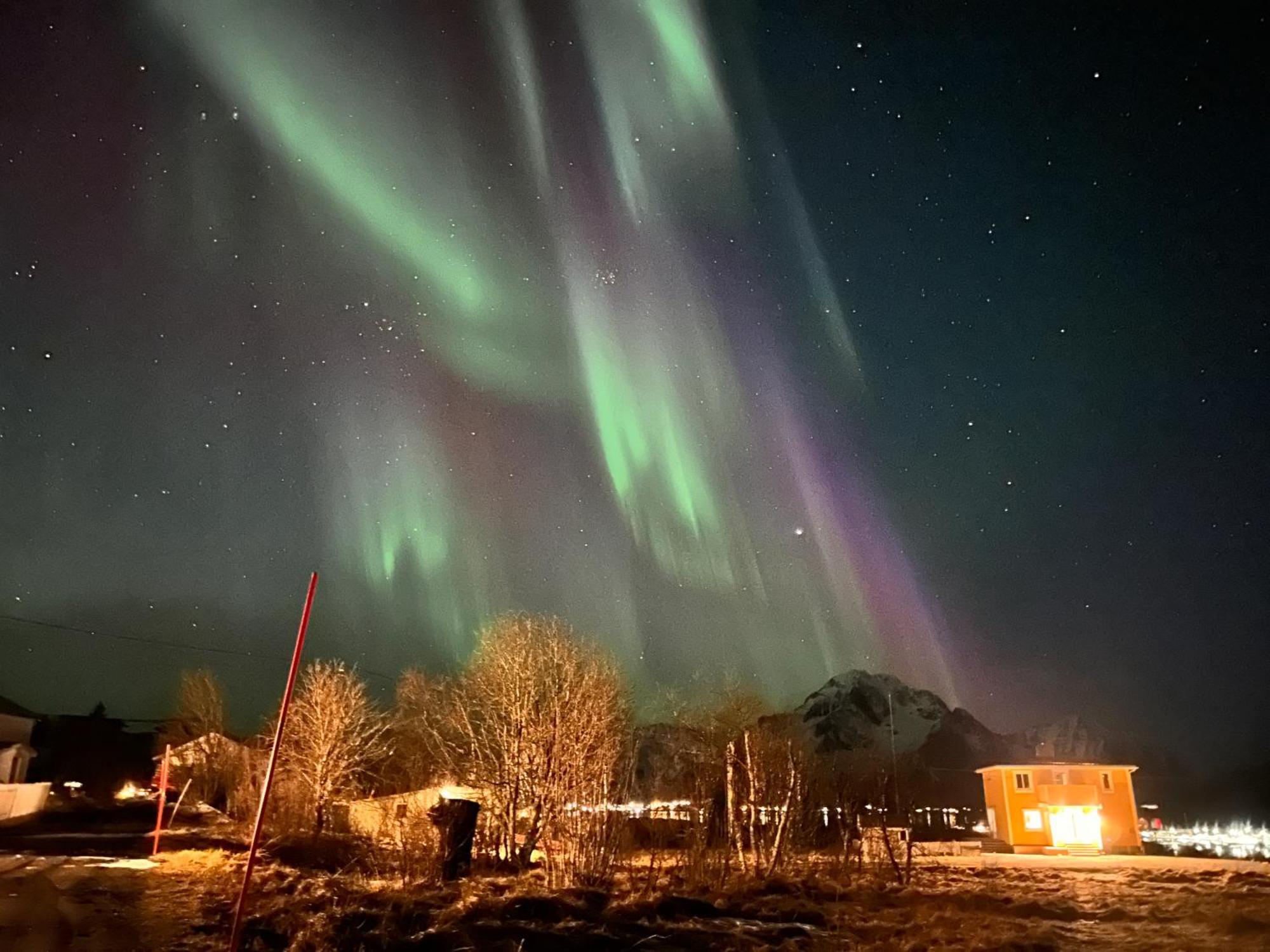 Pederstua, A Classic Fisherman'S Farm House In The Middle Of Lofoten Storeidet Exterior foto